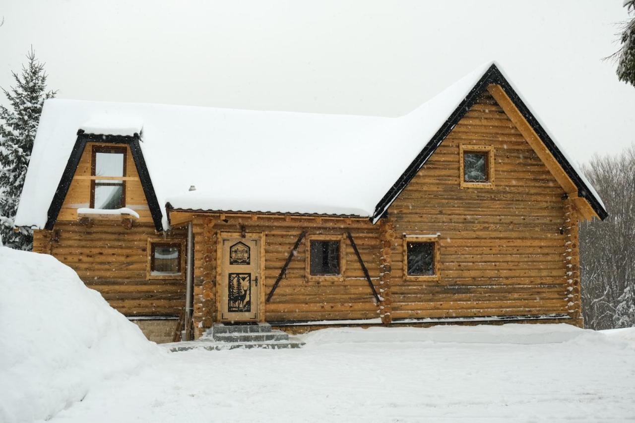 Drvena Kuca Ruza Villa Kopaonik Kültér fotó